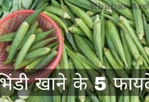 Bhindi Khane Ke Fayde – भिंडी खाने के 5 बेजोड़ फायदे