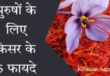 पुरुष के लिए केसर के 5 फायदे - Benefits Of Saffron For Men in Hindi