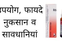 R6 Homeopathic Medicine Uses in Hindi - उपयोग, फायदे व नुकसान