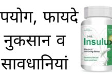 Insulux Capsule Uses in Hindi –  इंसुलक्स कैप्सूल के फायदे, उपयोग व नुकसान